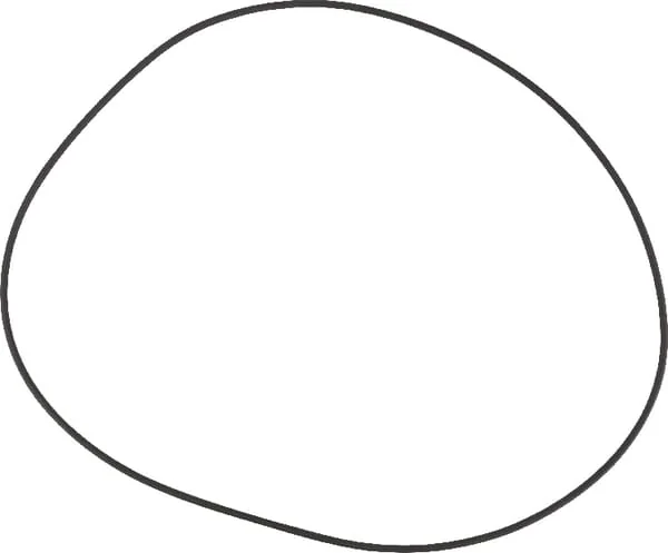 Massey Ferguson - X549040200000 - O-Ring, Diameter 253,59 X 3,53 mm