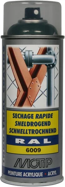 Motip - 07123 - RAL 6009 Spruehfirnengruen