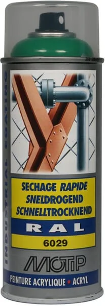 Motip - 07145 - RAL 6029 Acrylspray Mintgruen