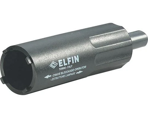 New elfin