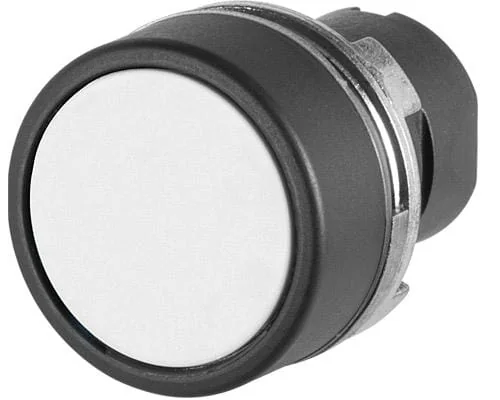New elfin