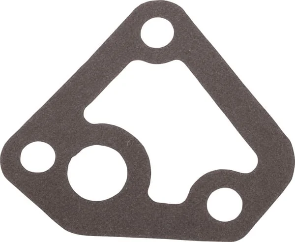 New Holland - 5161235 - Dichtung