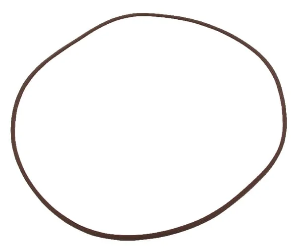 New Holland - 5165511 - Dichtungsring