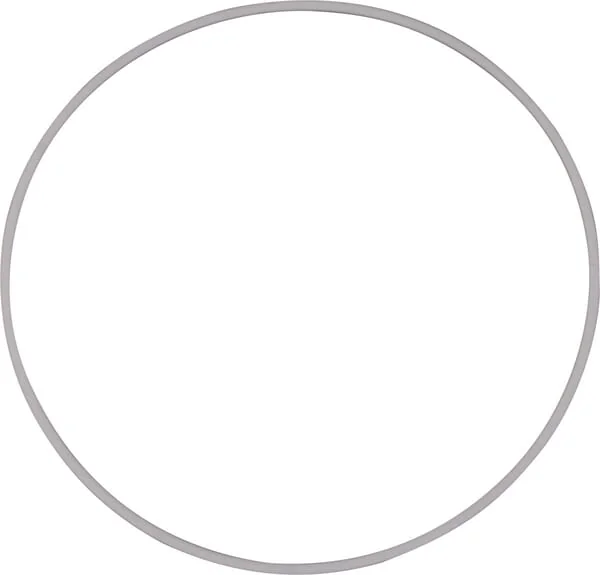 New Holland - 79035725 - Ring
