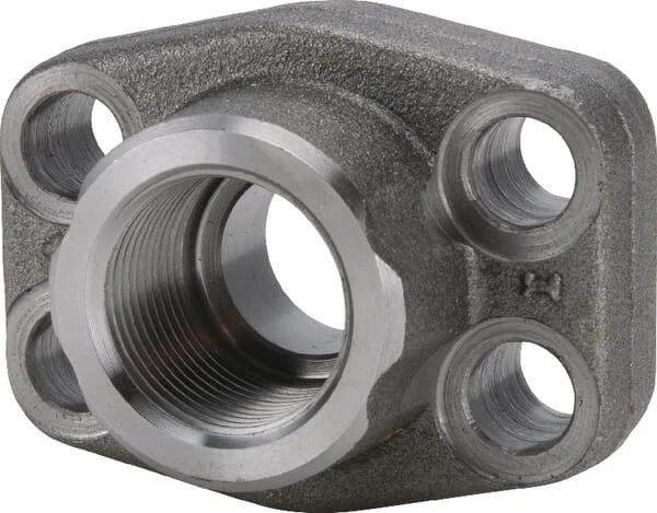 Oleo Tecnica