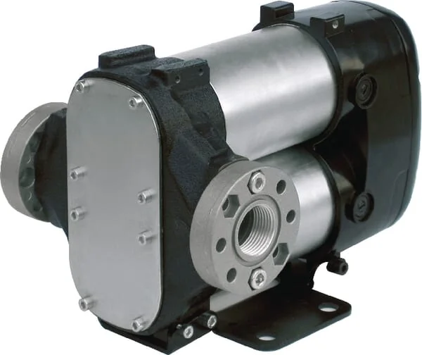 Piusi - F00363B0A - BIPUMP 24 V mit Schalter