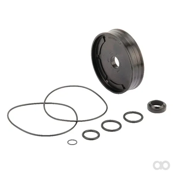 Ramus - 39CYTD100 - Dichtungssatz Fuer 6" Pneum. Zyl.