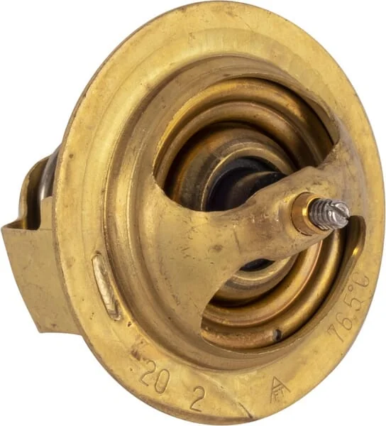 SDF - 090076538 - Thermostat