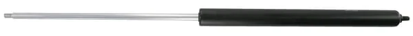 Stabilus