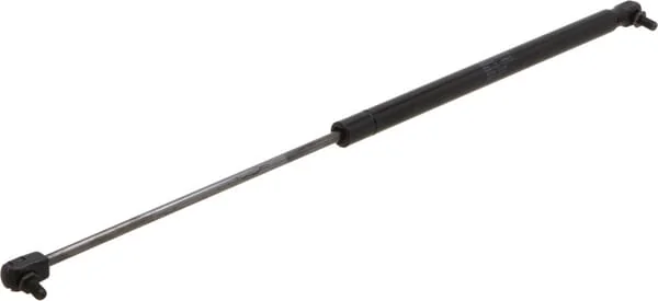 Stabilus