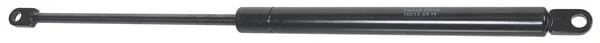 Stabilus
