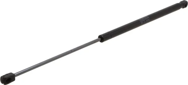 Stabilus