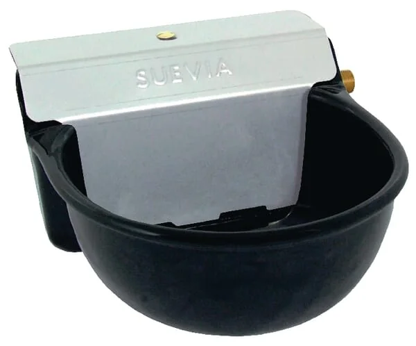 Suevia