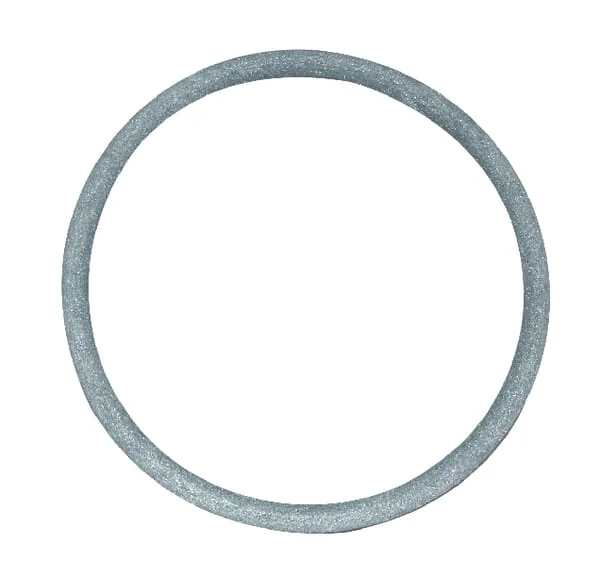 Teejet - CP12291BU - Dichtung 73 mm fuer Filter AA 124