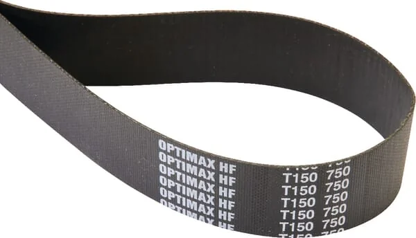 Tielbürger - HC010049 - Flachriemen