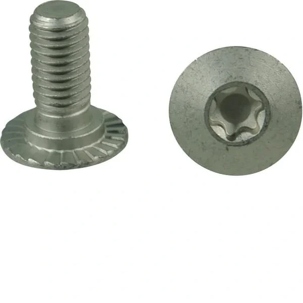 Trioliet - 84925 - Schraube M10x23 10,9
