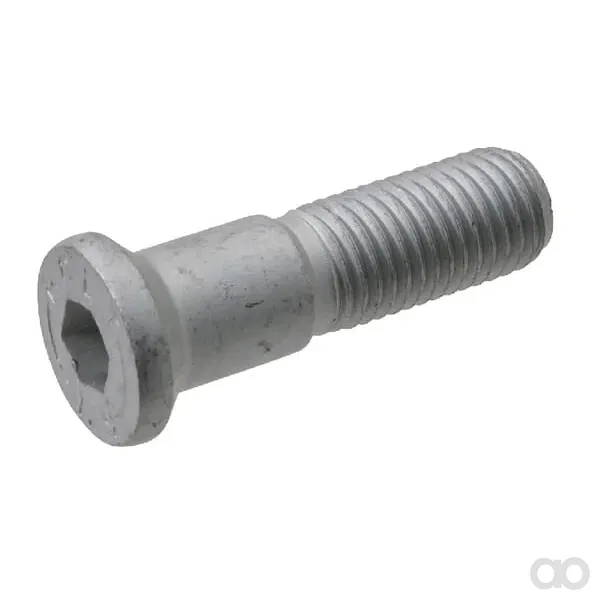 Trioliet - 84953 - Schraube Mit Sechskant-Innensechskantkopf M16x60 12,9 SP