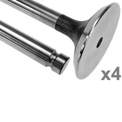 Vapormatic - VPA1064 - Auslassventil (x4)