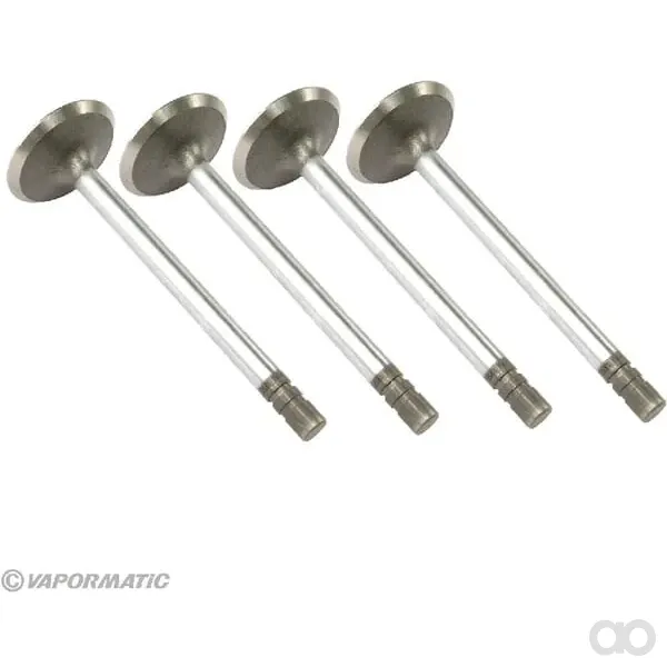 Vapormatic - VPA1350 - Einlassventil (x4)