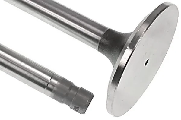 Vapormatic - VPA7291 - Eintrittsventil (x4)