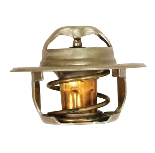 Weidemann - 1000342565 - Thermostat