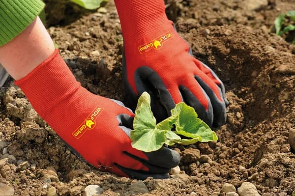 Wolf Garten - 7760014 - Beet-Handschuhe Erde, GH-BO 7