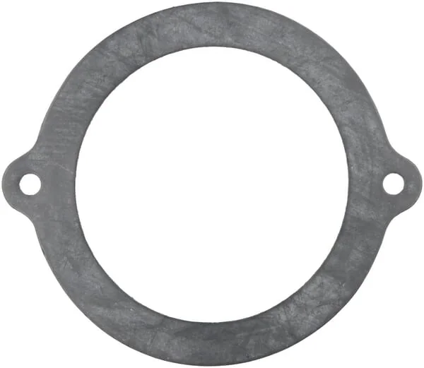 ZF - 0501303920 - Dichtring
