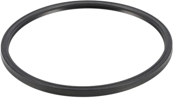 ZF - 0501313668 - Dichtring