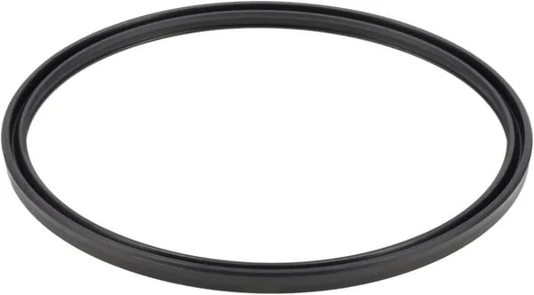 ZF - 0501313668 - Dichtring