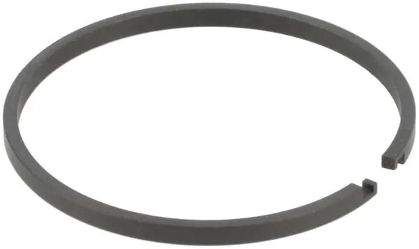 ZF - 0501324573 - R-Ring