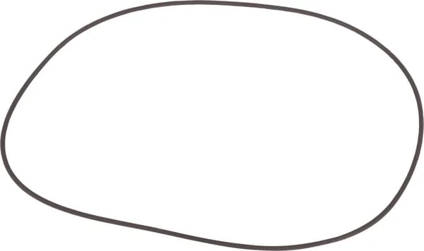 ZF - 0634303398 - Dichtung