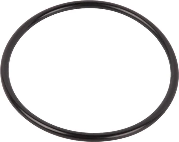 ZF - 0634303849 - O-Ring
