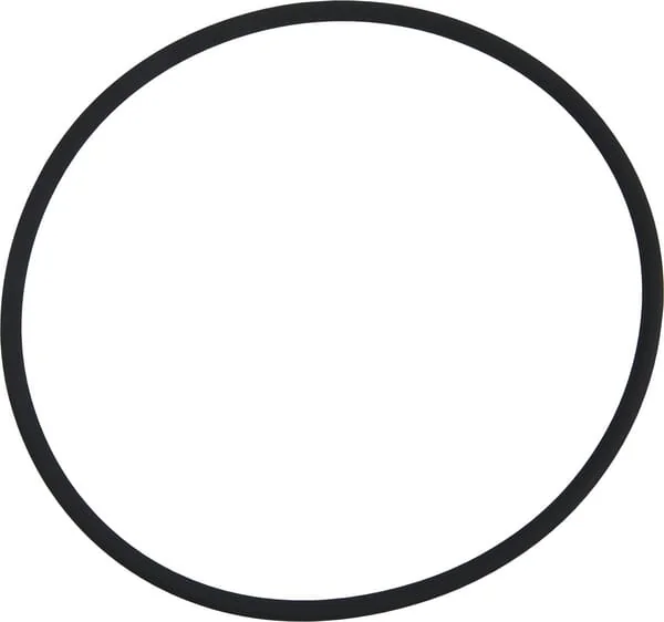 ZF - 0634313809 - O-Ring
