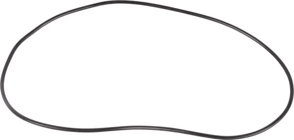 ZF - 0634313999 - O-Ring
