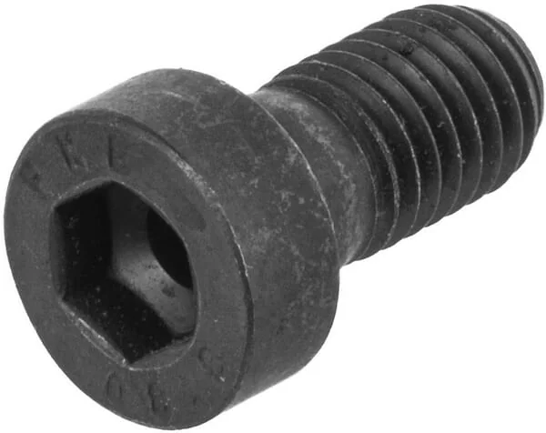 ZF - 0636102041 - Zylinderschraube Mit Innensechskant