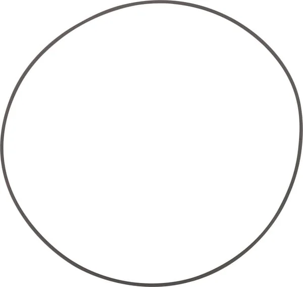 ZF - 0734317197 - Ring
