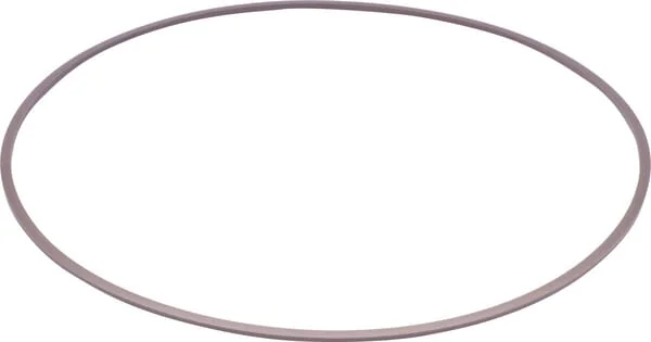ZF - 0750112095 - Stuetzring