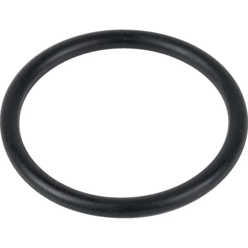Annovi Reverberi - 550040 - O-Ring