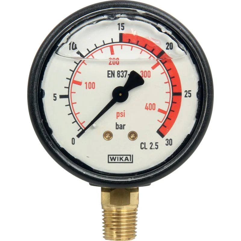 Annovi Reverberi - 801050 - Manometer