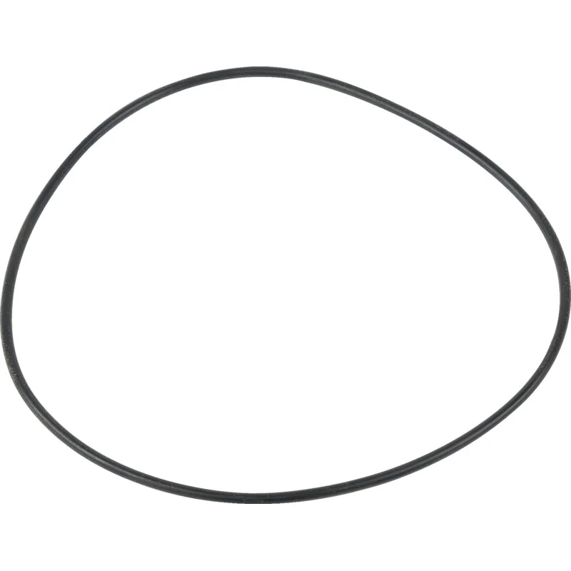 Annovi Reverberi - 851360 - O-Ring