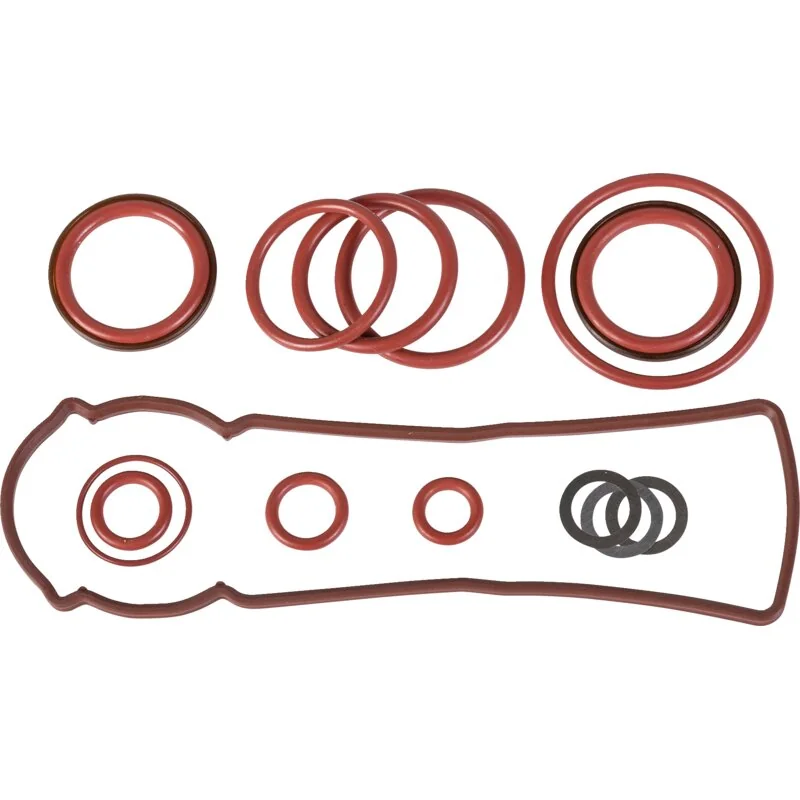 Bosch Rexroth - R917007803 - Dichtsatz