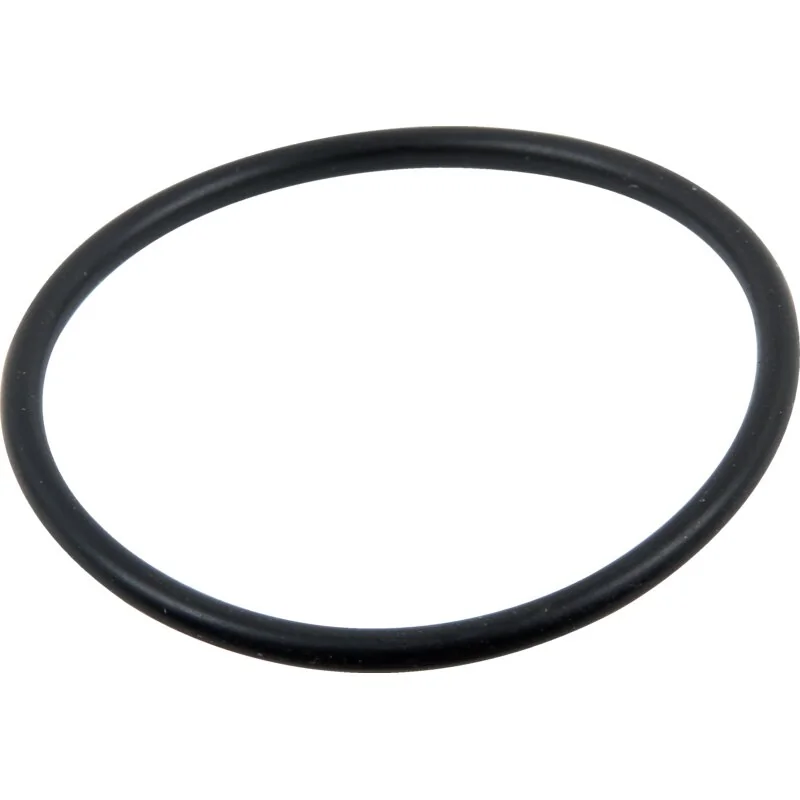 Braglia - 701.602.63 - Dichtung