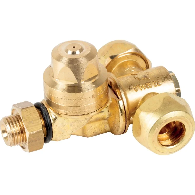 Braglia