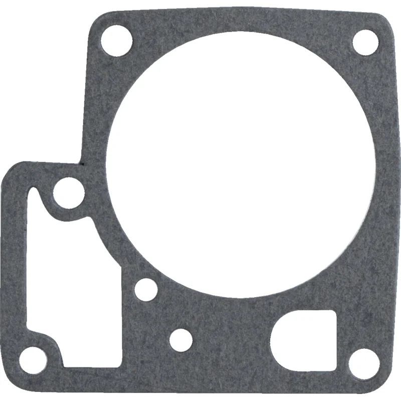 Briggs and Stratton - 271611 - Dichtung