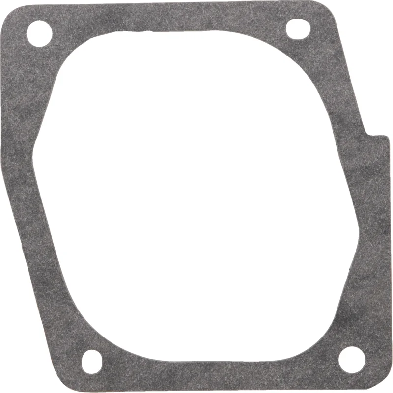 Briggs and Stratton - 272323 - Dichtung
