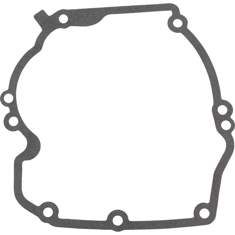 Briggs and Stratton - 272324 - Dichtung