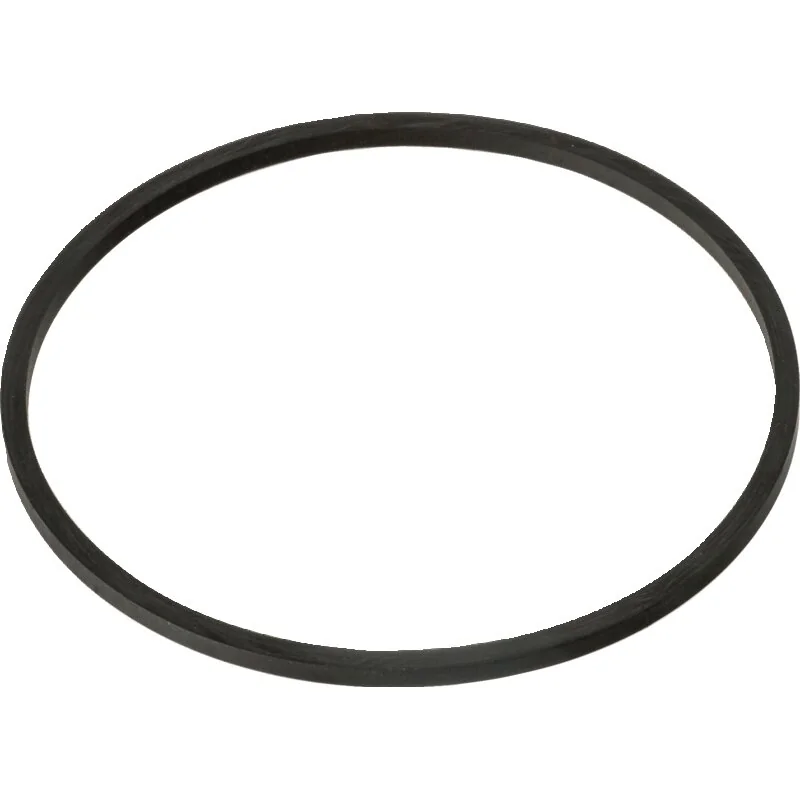 Briggs and Stratton - 594861 - Dichtung