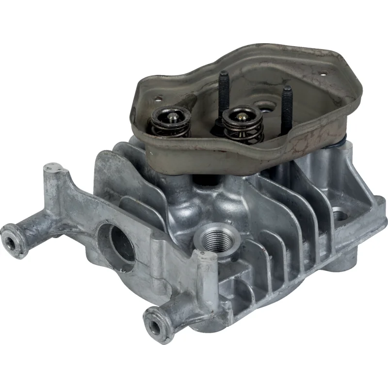 Briggs and Stratton - 595353 - Kopf-Zylinder