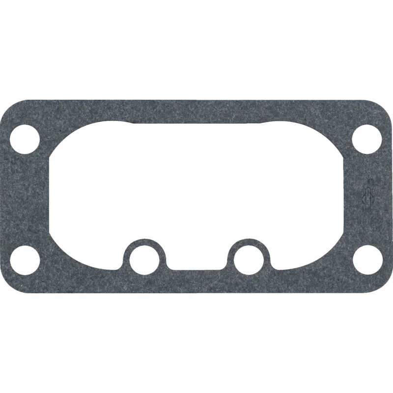 Briggs and Stratton - 691001 - Luftfilterdichtung