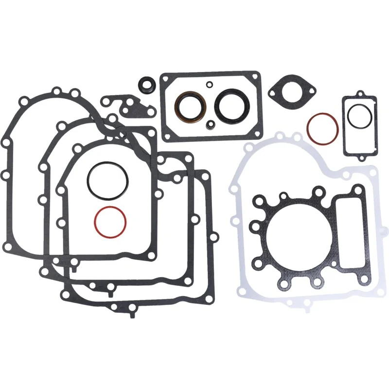 Briggs and Stratton - 691580 - Dichtungssatz